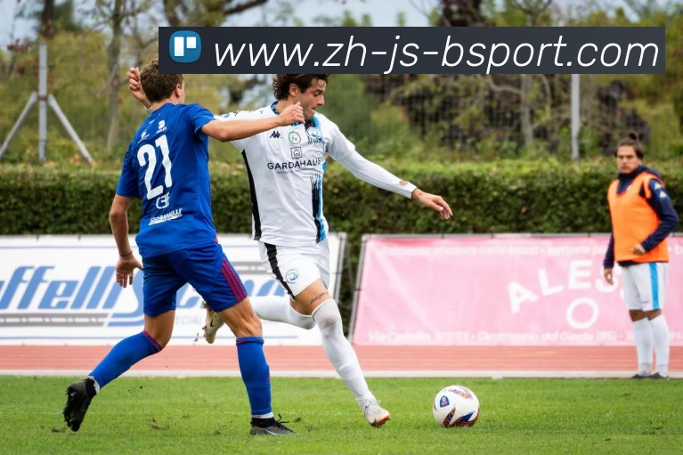 必一体育官方网站APP 体育赛事宣传图